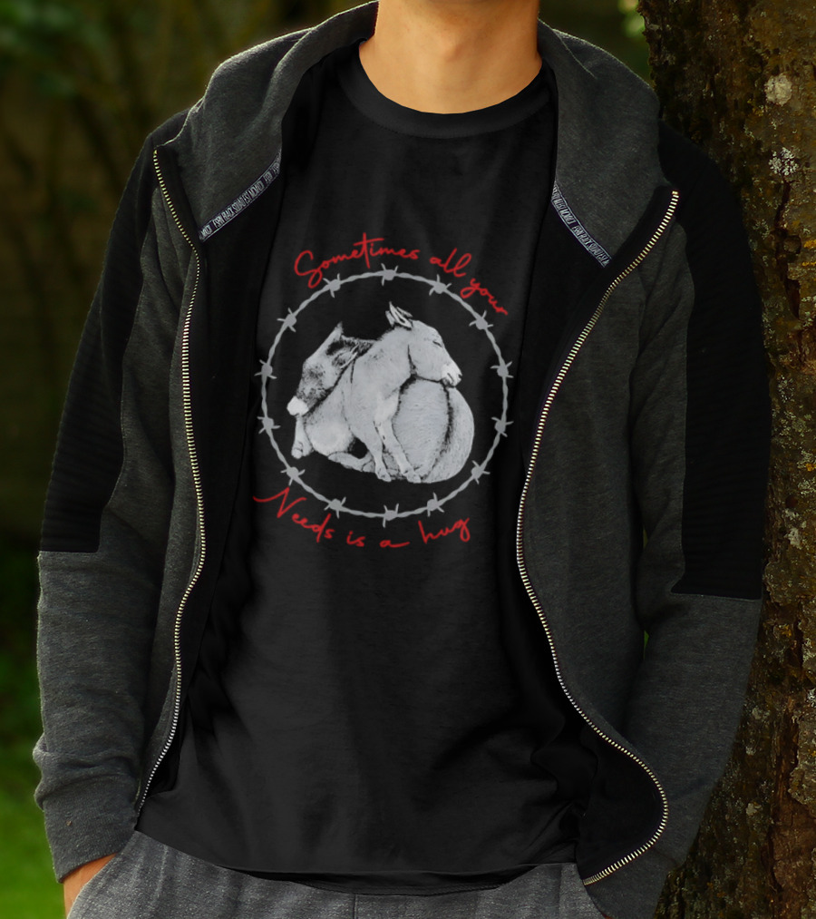 Sometimes All Your Needs Is A Hug Cuddling Donkeys Barbed Wire T-Shirt