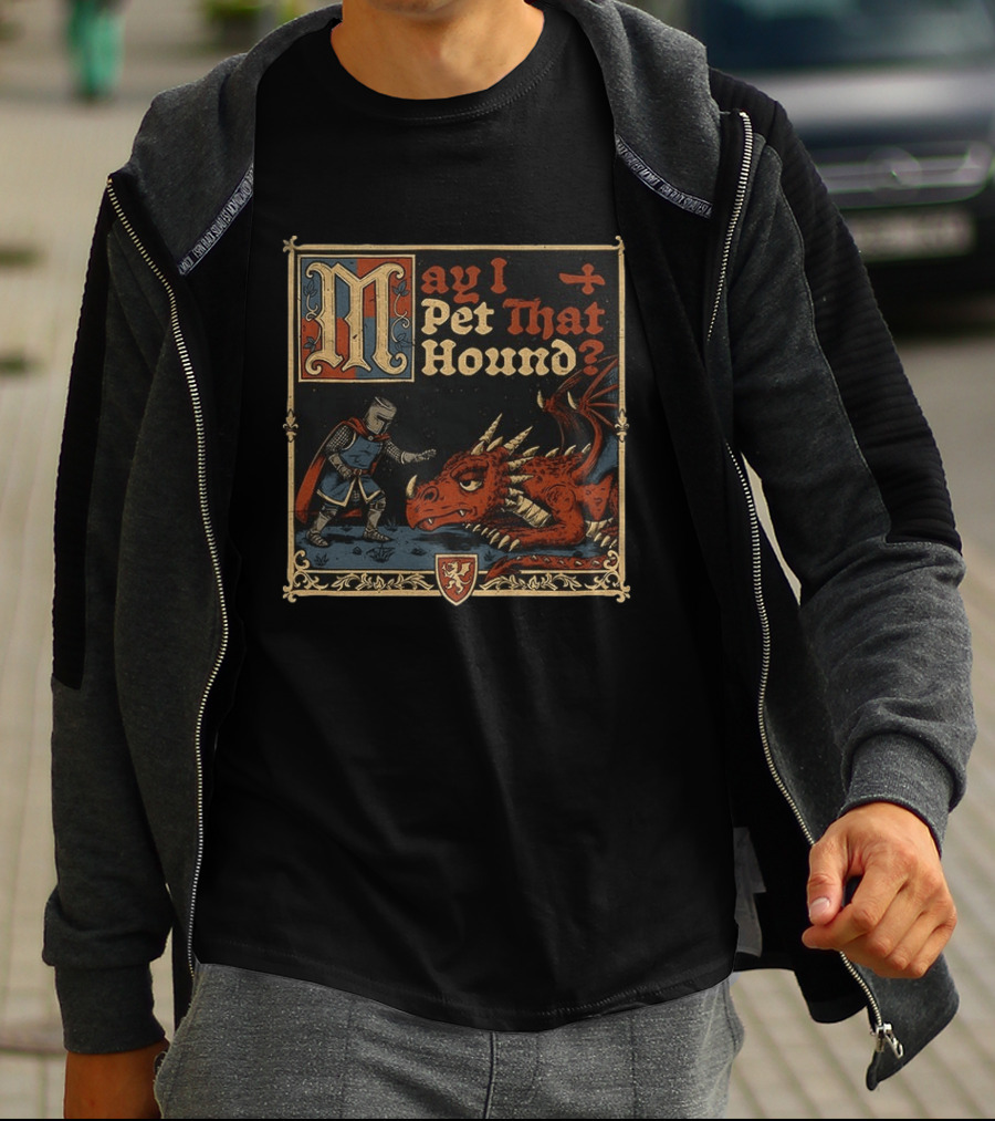 May I Pet That Hound Medieval Knight And Dragon Meme T-Shirt