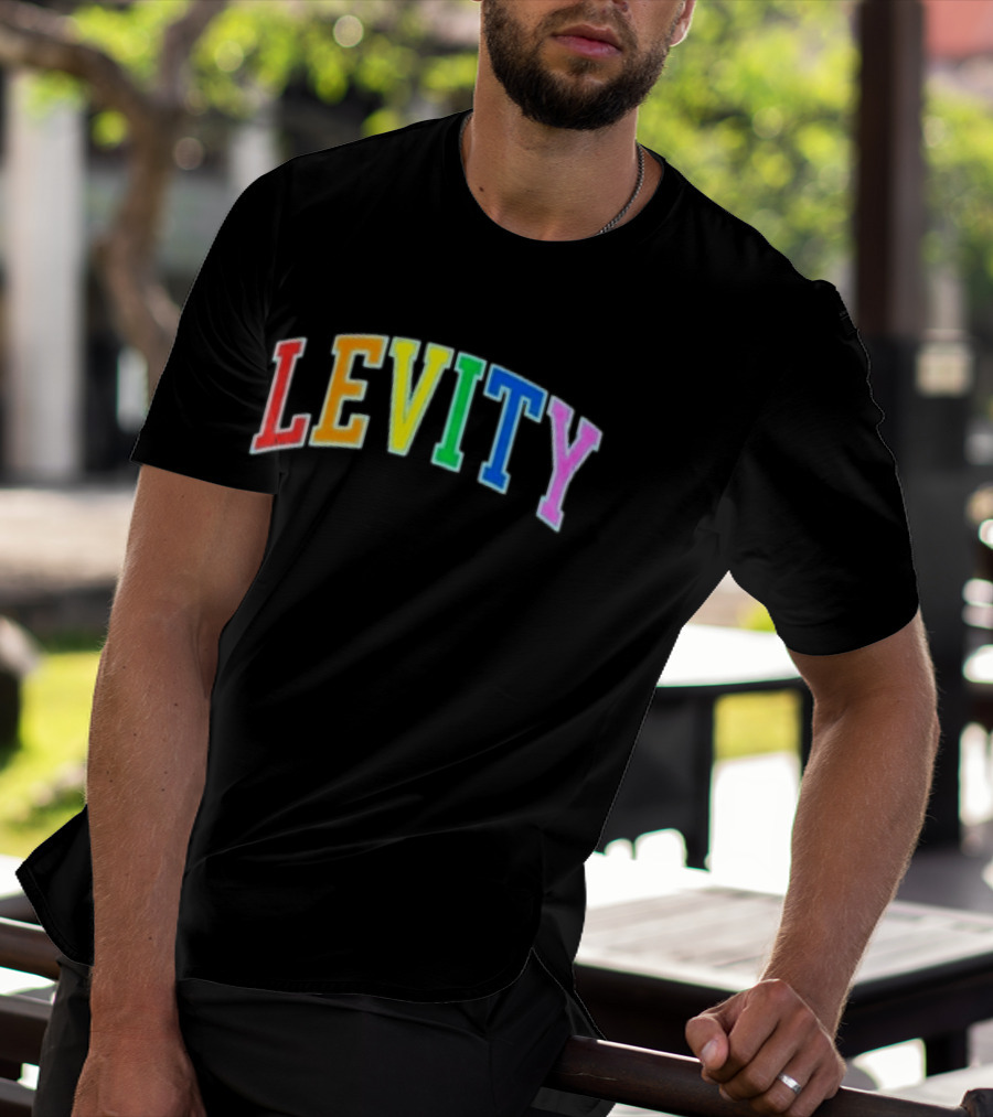 Levity You Will Now Experience Levity T-Shirt