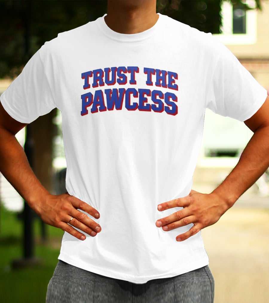 Trust The Pawcess Blue Red Arched 3D Wood Grain T-Shirt