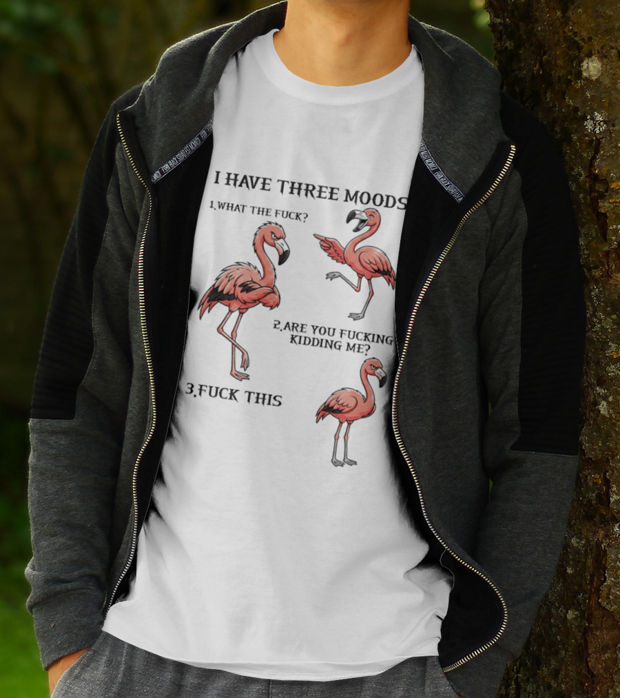 I Have Three Moods What The Fuck Are You Fucking Kidding Me Fuck This Flamingo T-Shirt