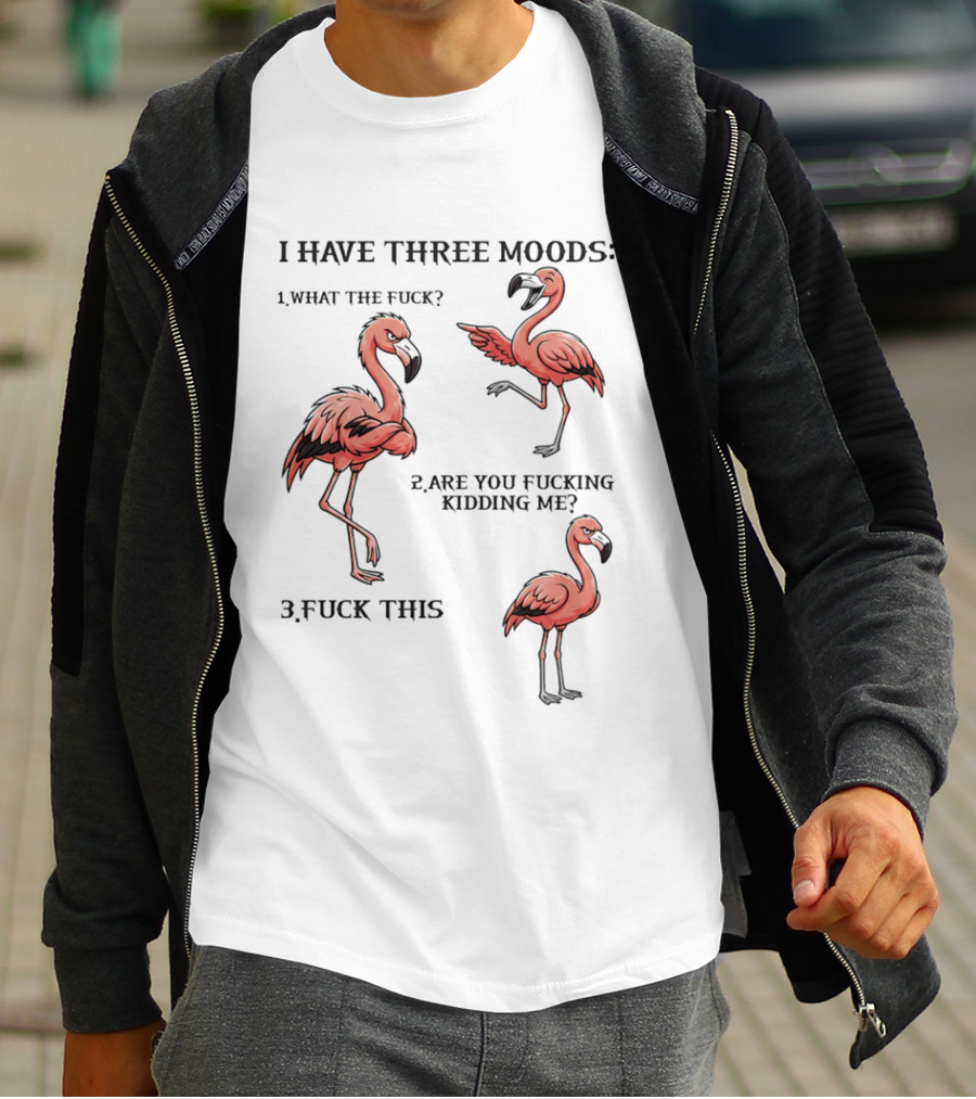 I Have Three Moods What The Fuck Are You Fucking Kidding Me Fuck This Flamingo T-Shirt