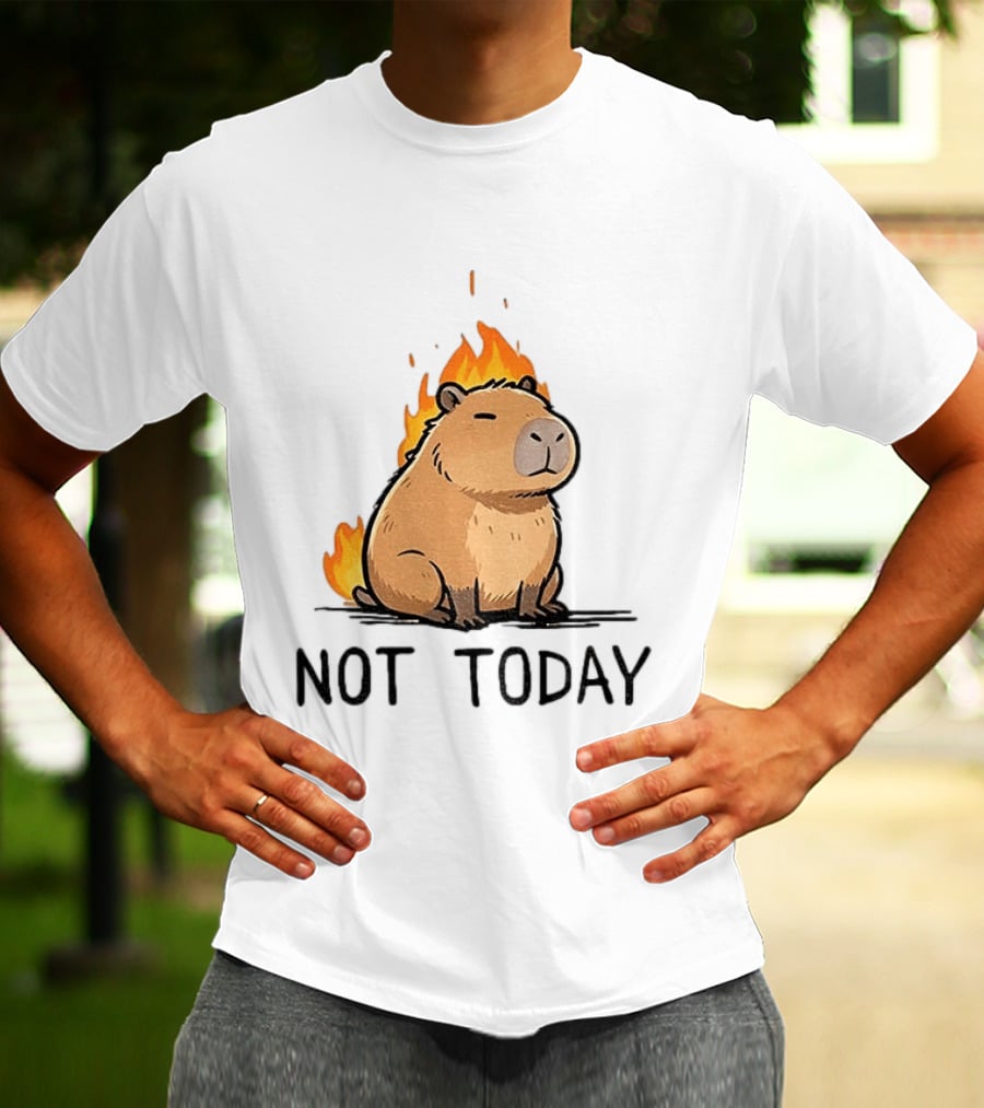 Capybara On Fire Not Today Calm Meme T-Shirt