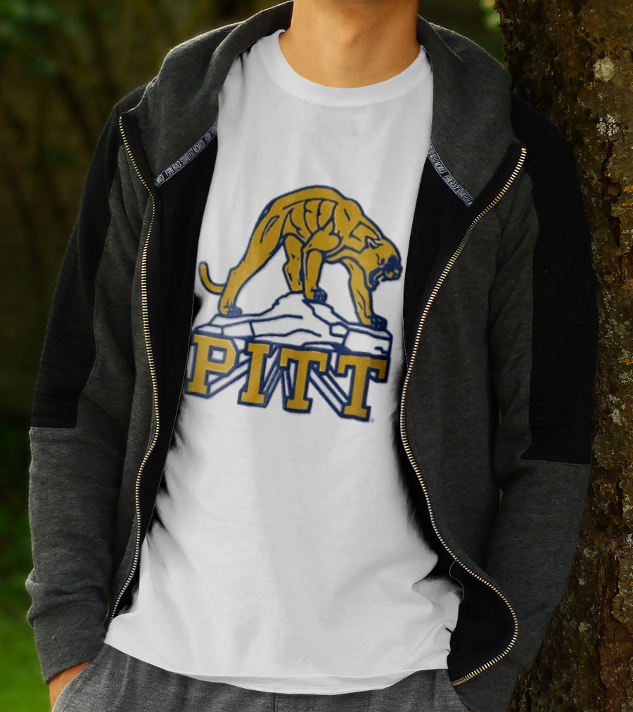 Pittsburgh Panthers Pitt Gold Panther Standing On Rock T-Shirt