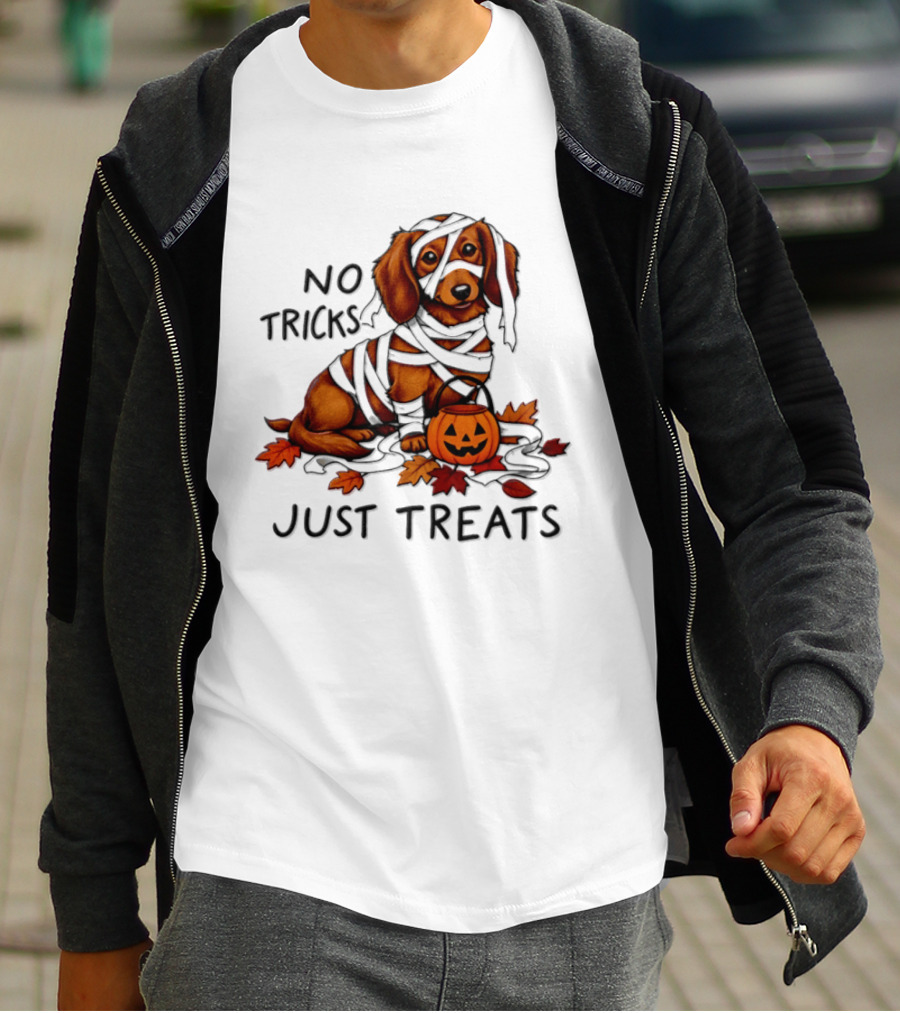 No Tricks Just Treats Dachshund Mummy Halloween Pumpkin Dog T-Shirt