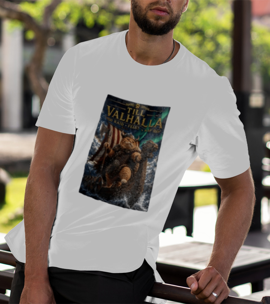 Till Valhalla Raid Feast Nap Viking Cat On Longship With Northern Lights T-Shirt