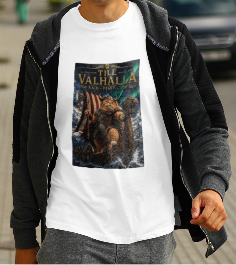 Till Valhalla Raid Feast Nap Viking Cat On Longship With Northern Lights T-Shirt