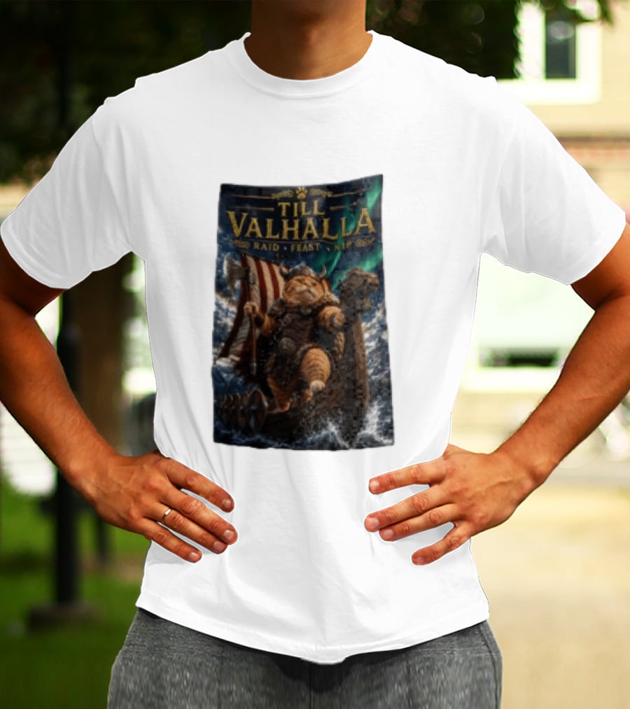 Till Valhalla Raid Feast Nap Viking Cat On Longship With Northern Lights T-Shirt