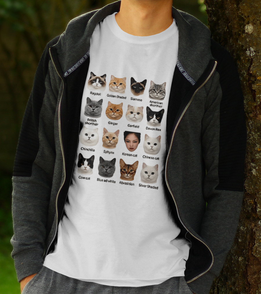 Kpop Cat Breed Chart Korean Cat Jennie Blackpink Meme T-Shirt