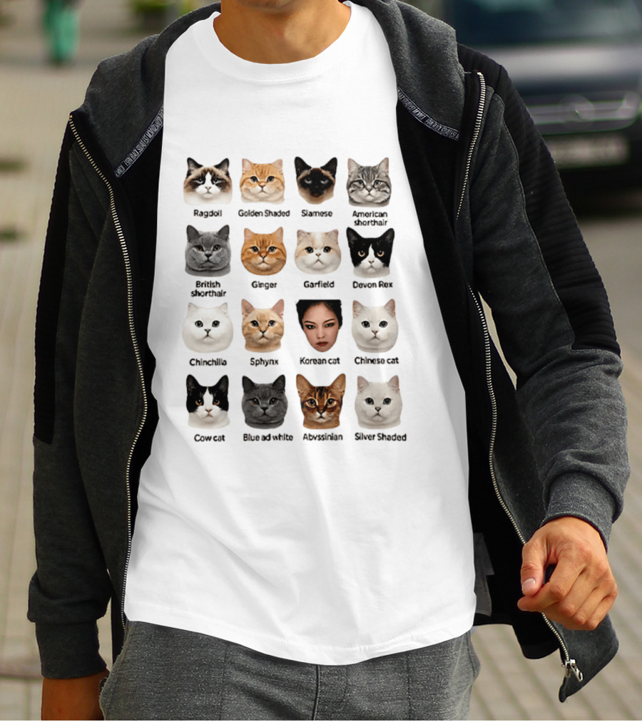 Kpop Cat Breed Chart Korean Cat Jennie Blackpink Meme T-Shirt