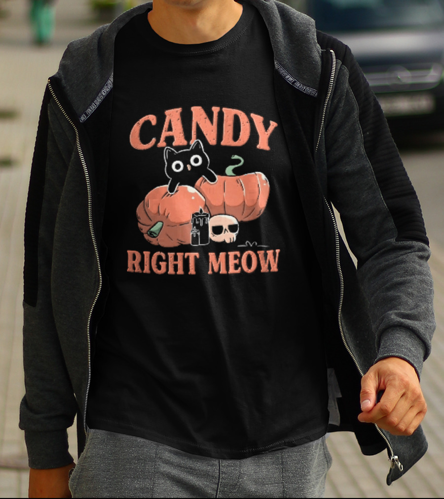 Candy Right Meow Black Cat Pumpkins Candles Skull Halloween T-Shirt