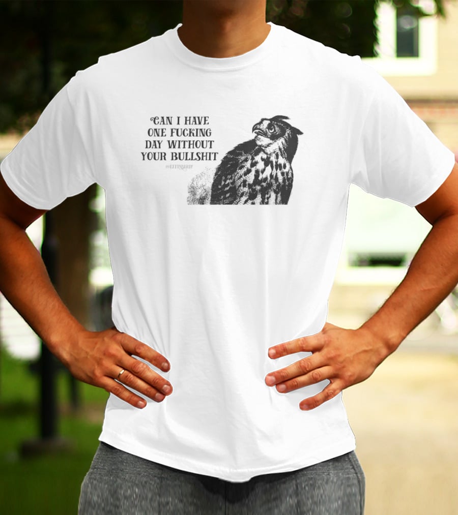 Can I Have One Fucking Day Without Your Bullshit Effinbirds T-Shirt