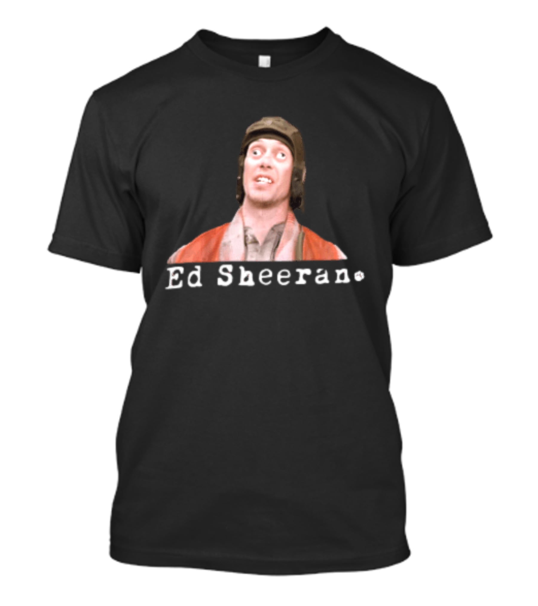 Ed Sheeran Steve Buscemi Meme Face Mashup T-Shirt