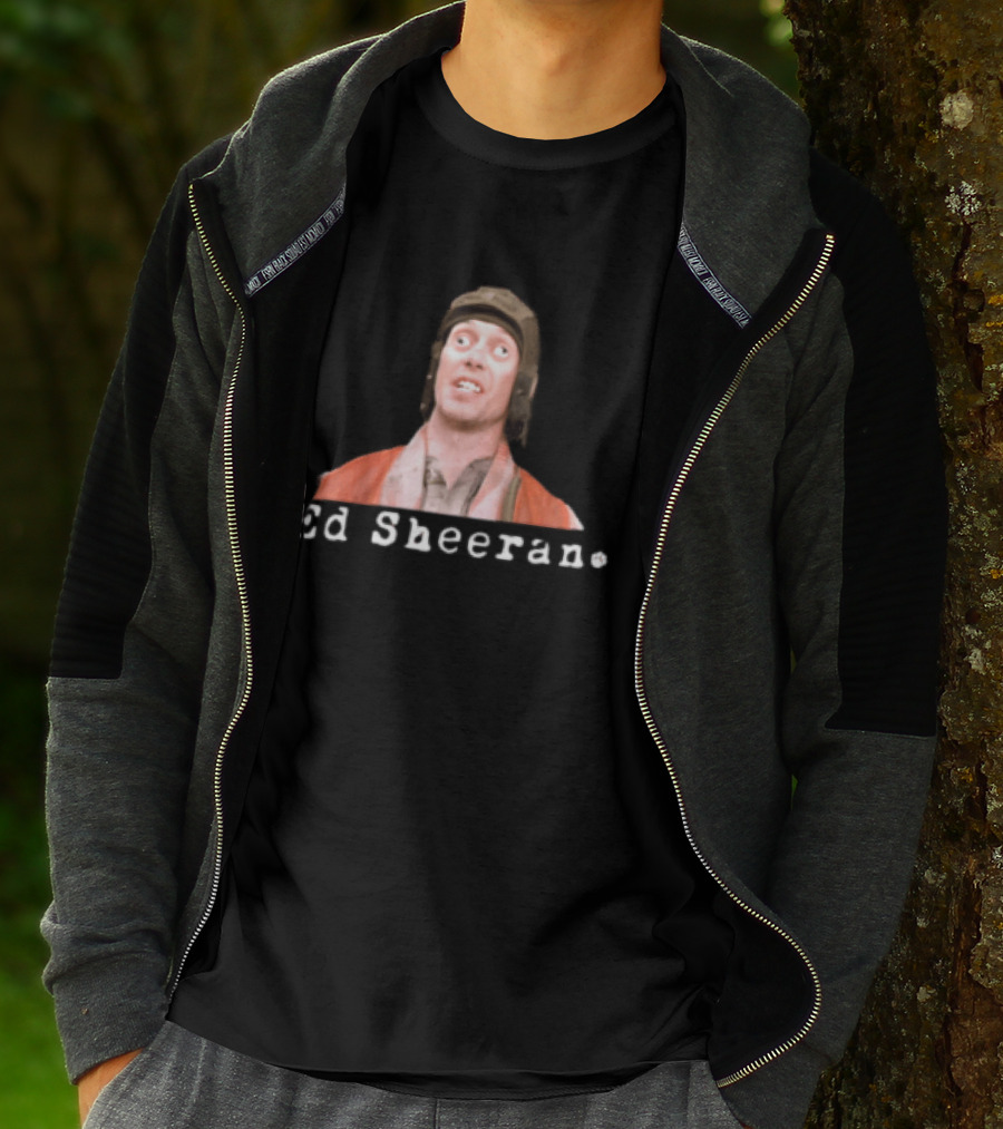 Ed Sheeran Steve Buscemi Meme Face Mashup T-Shirt