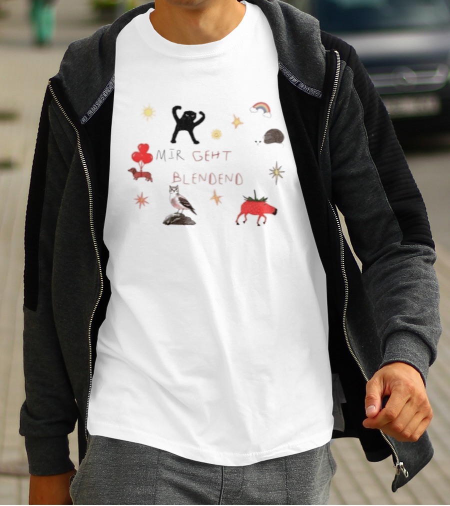 Mir Geht Es Blendend Cat Snail Strawberry Pig With Rainbow And Sun Doodles T-Shirt