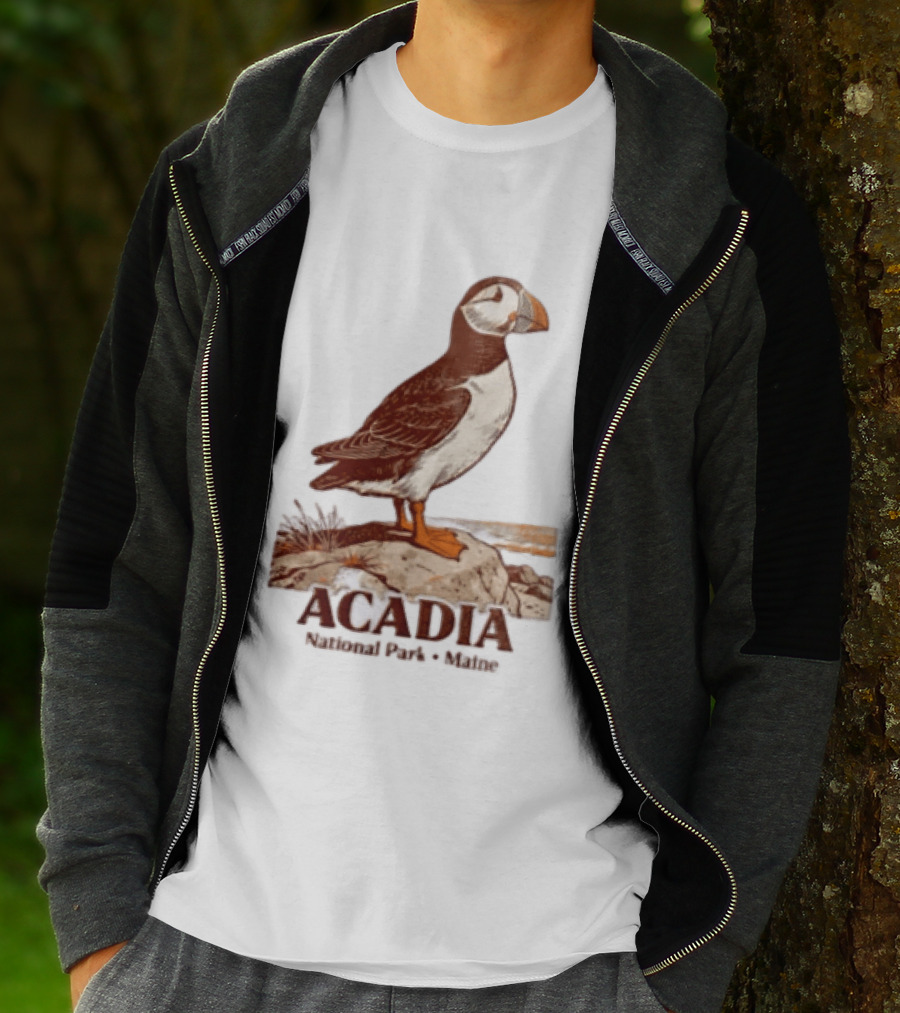 Acadia National Park Maine Puffin Standing On Rock T-Shirt