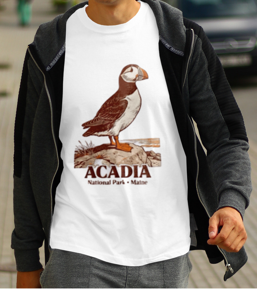Acadia National Park Maine Puffin Standing On Rock T-Shirt