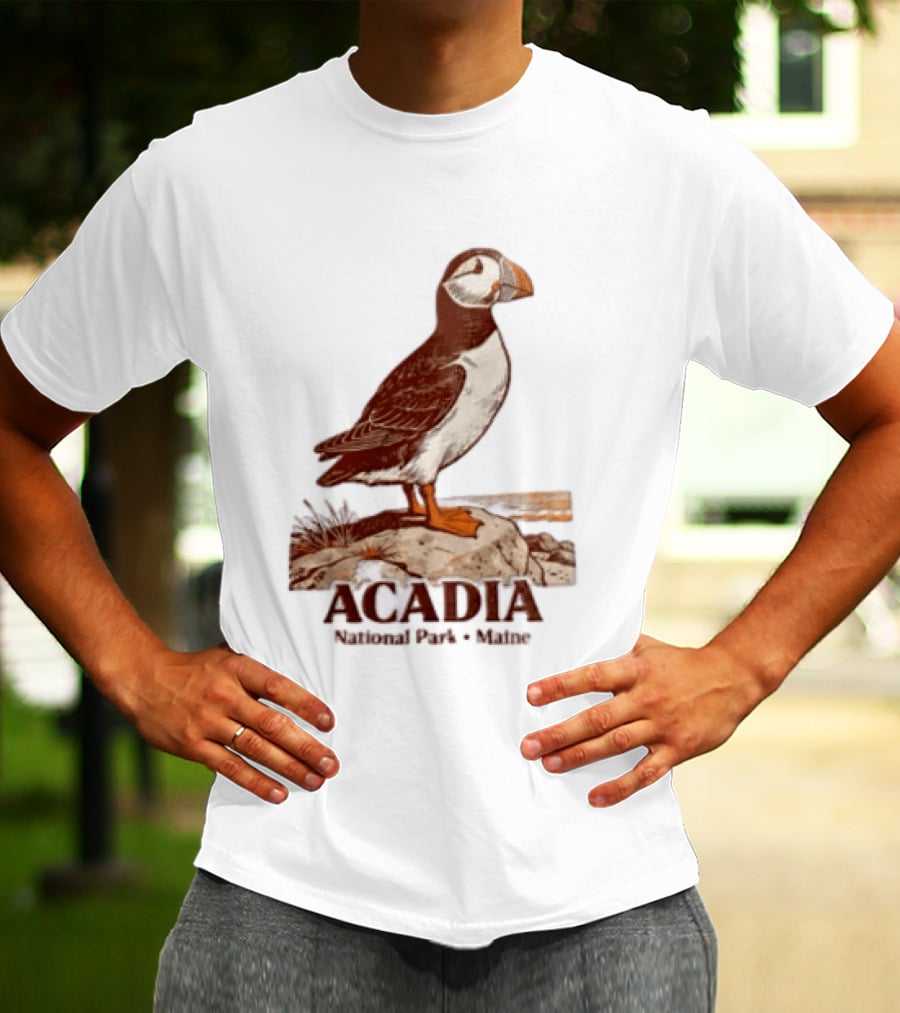 Acadia National Park Maine Puffin Standing On Rock T-Shirt