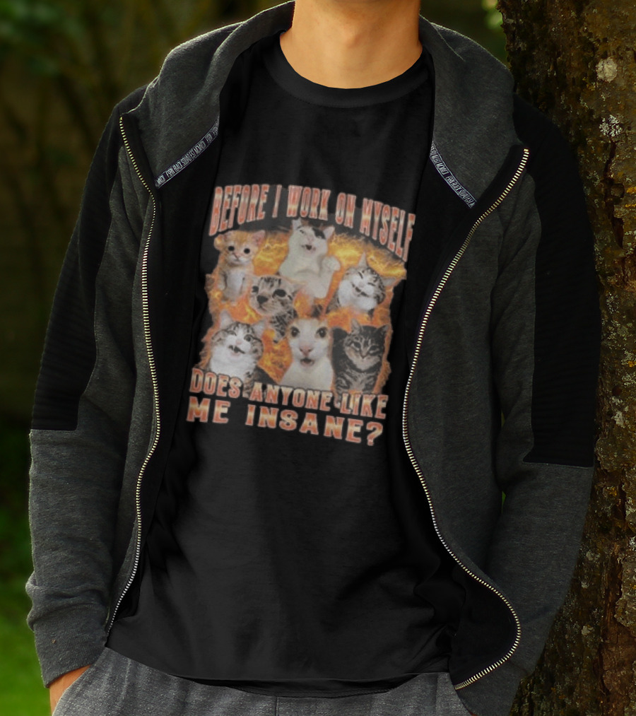 Before I Work On Myself Does Anyone Like Me Insane Cats T-Shirt