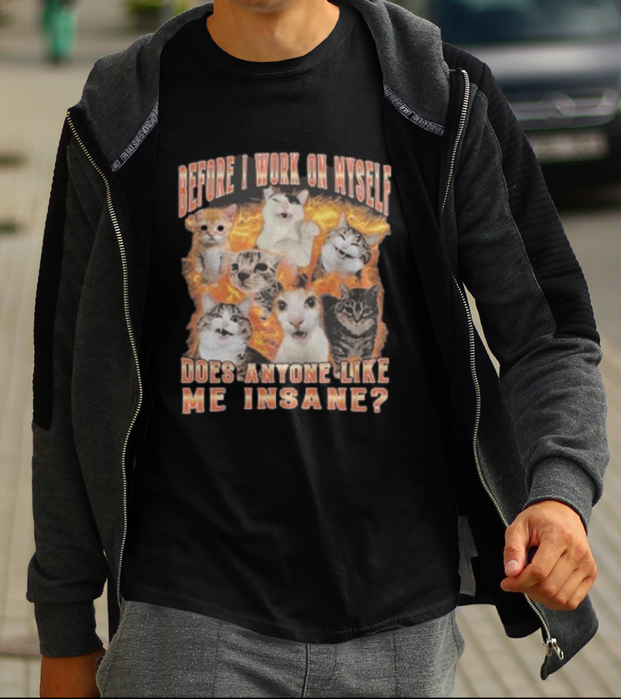 Before I Work On Myself Does Anyone Like Me Insane Cats T-Shirt