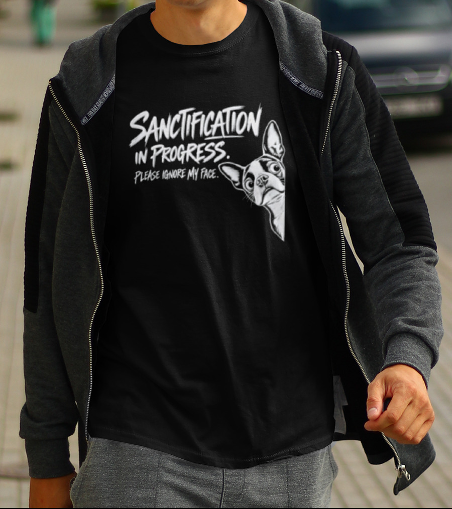 Sanctification In Progress Please Ignore My Face Funny Animal T-Shirt