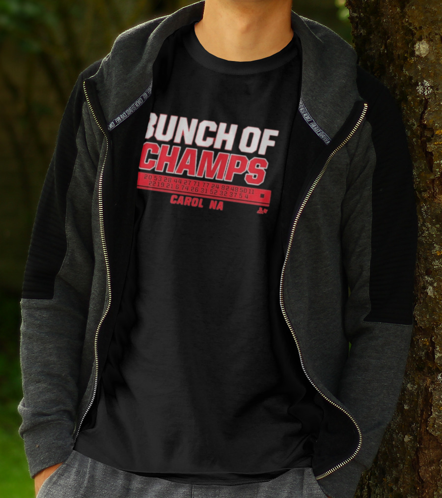 Bunch Of Champs Carolina Hockey Numbers Series T-Shirt