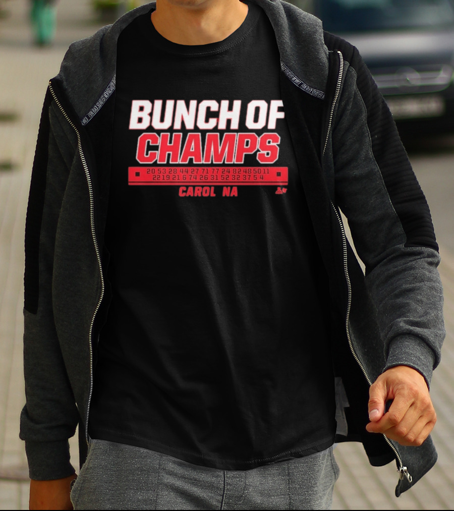 Bunch Of Champs Carolina Hockey Numbers Series T-Shirt