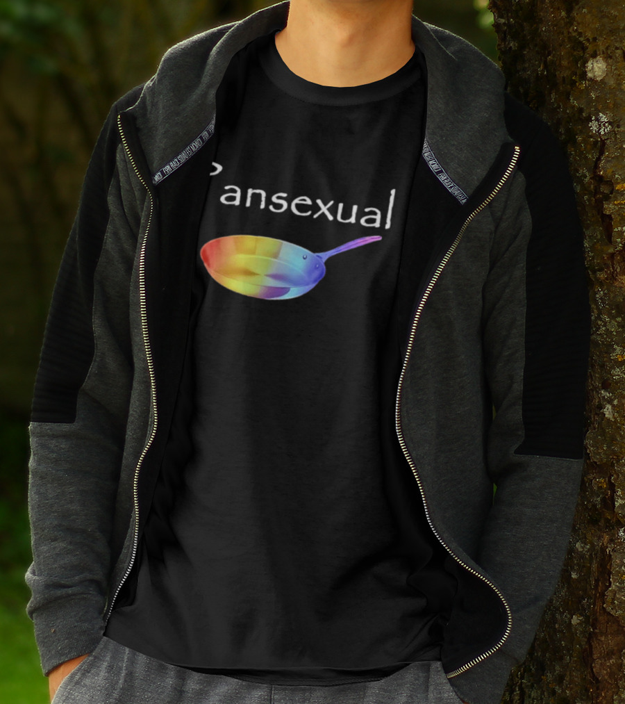Pansexual Pan Rainbow Pride LGBTQIA Equality Colorful Identity Fun T-Shirt