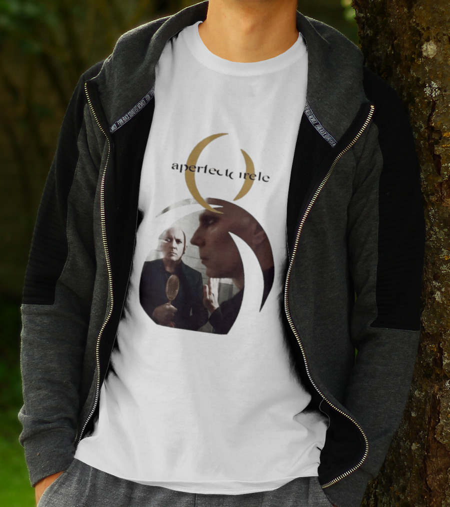 A Perfect Circle 2026 Tour Image With Band Members T-Shirt