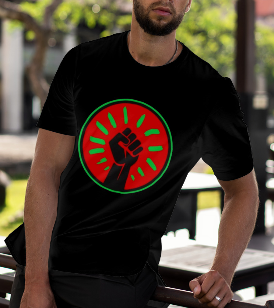 Pan African Flag Black Power Fist Resistance Unity Liberation T-Shirt