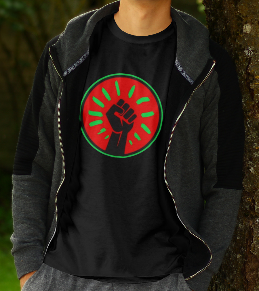Pan African Flag Black Power Fist Resistance Unity Liberation T-Shirt