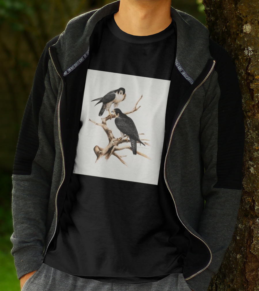 Roger Tory Peterson Peregrines 2026 Adult Ash Bird T-Shirt