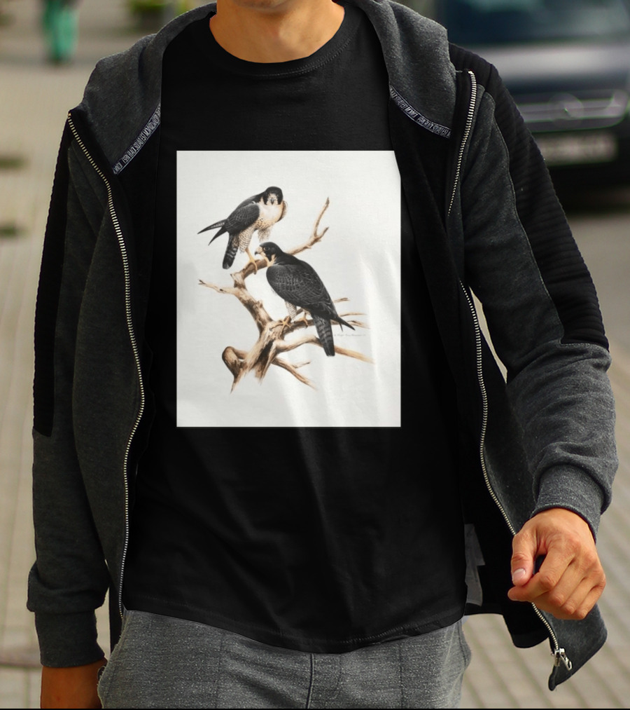 Roger Tory Peterson Peregrines 2026 Adult Ash Bird T-Shirt