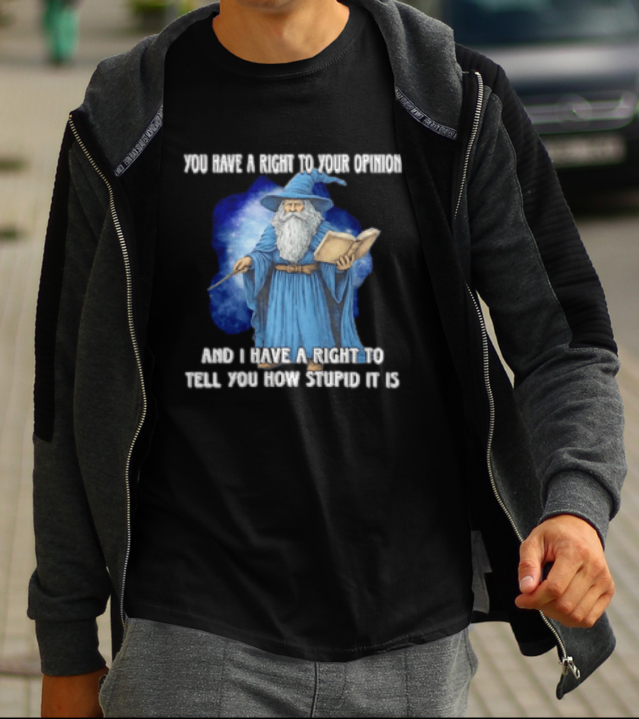 Wizard You Have A Right To Your Opinion And I Have A Right To Tell You How Stupid It Is T-Shirt