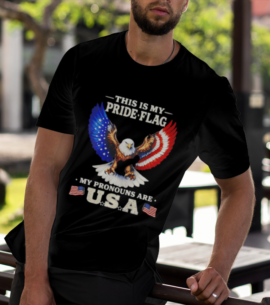 This Is My Pride Flag American Eagle My Pronouns Are USA T-Shirt