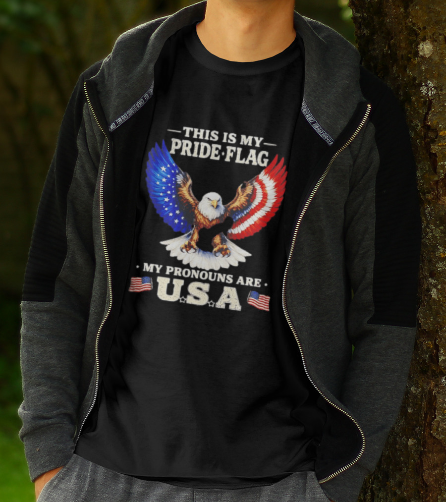 This Is My Pride Flag American Eagle My Pronouns Are USA T-Shirt