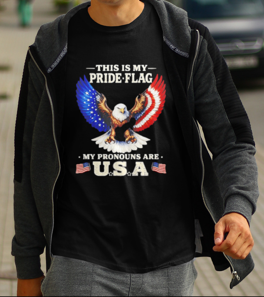 This Is My Pride Flag American Eagle My Pronouns Are USA T-Shirt