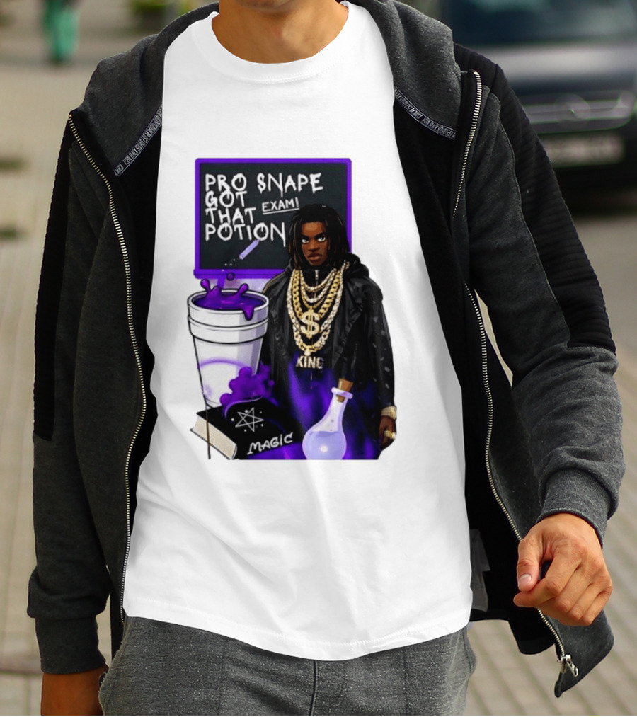 Professor Snape Got That Potion Magic Exam Meme T-Shirt