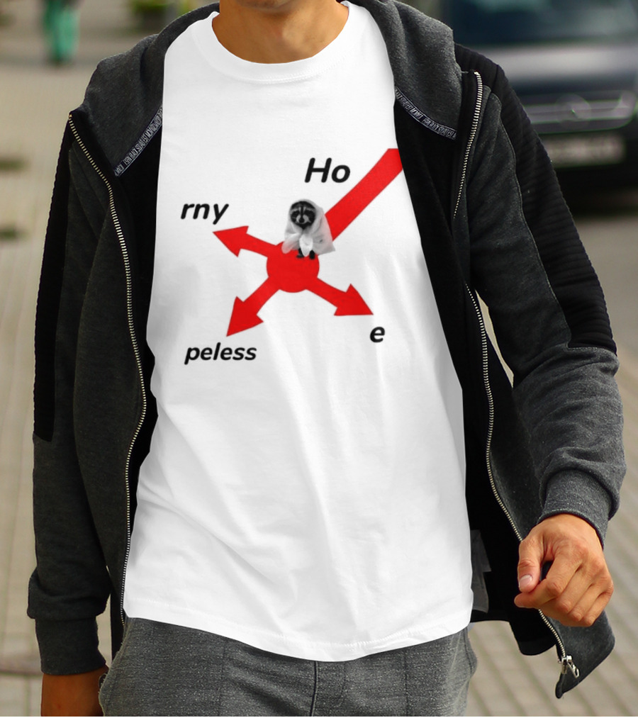 Raccoon Meme Ho Rny Peless Compass T-Shirt