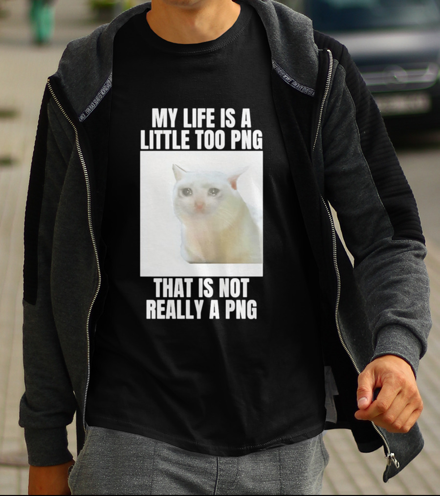 My Life Is A Little Too PNG That Is Not Really A PNG Cat Meme T-Shirt