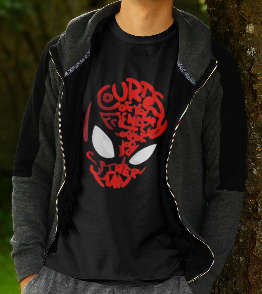 Courtesy Of Your Friendly Neighborhood Spider Man Face T-Shirt