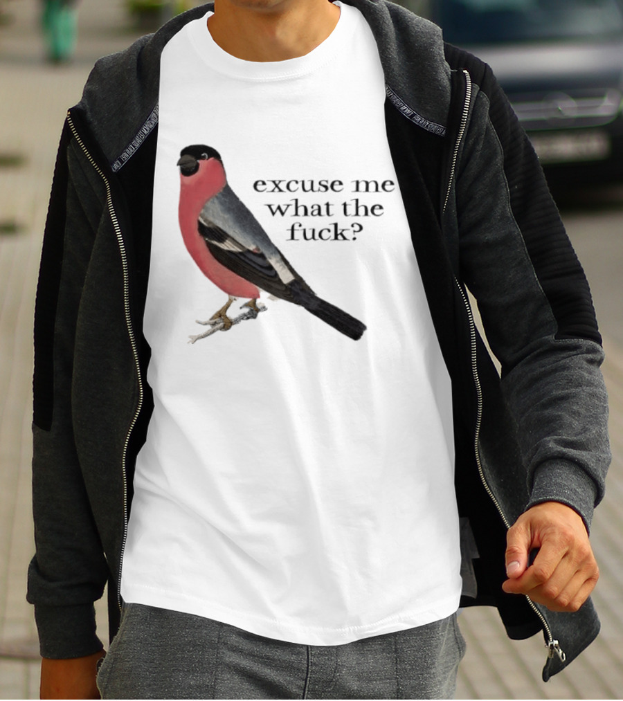 Eurasian Bullfinch Bird Excuse Me What The Fuck T-Shirt