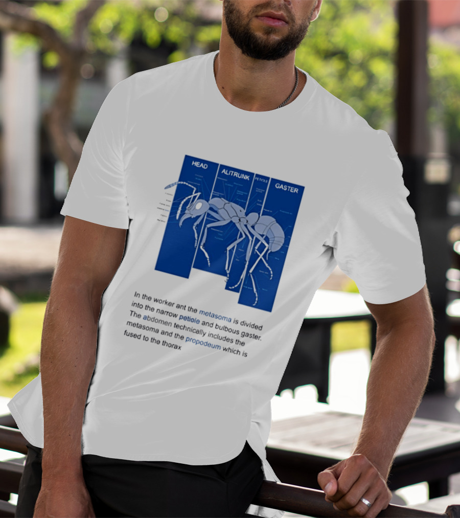 Worker Ant Diagram Head Alitrunk Gaster Metasoma Petiole Biology T-Shirt