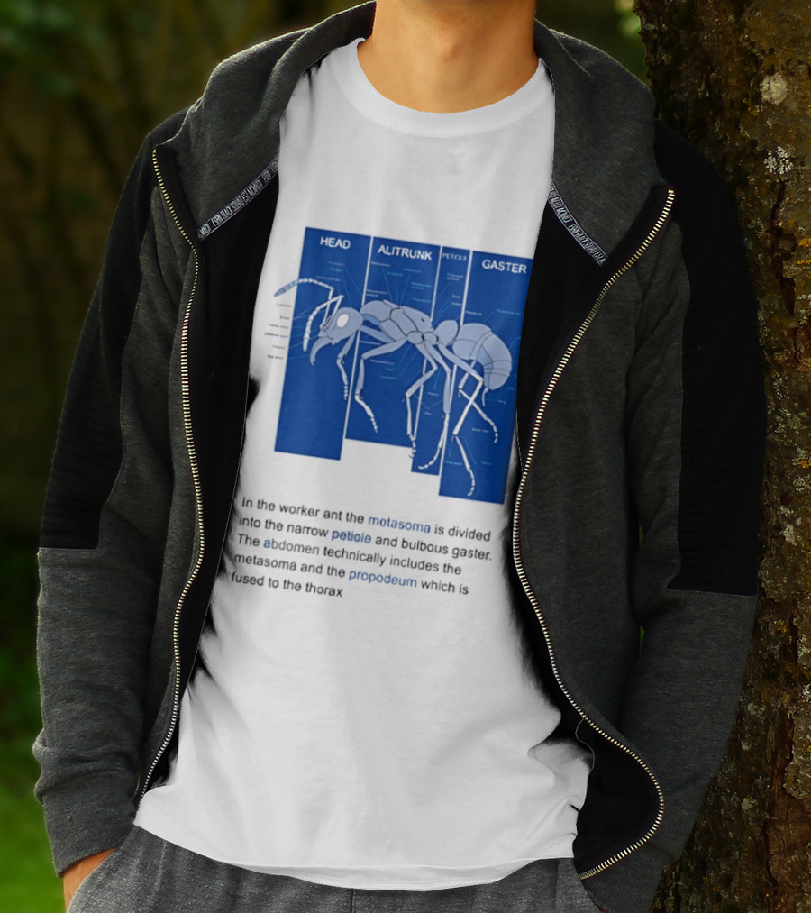 Worker Ant Diagram Head Alitrunk Gaster Metasoma Petiole Biology T-Shirt