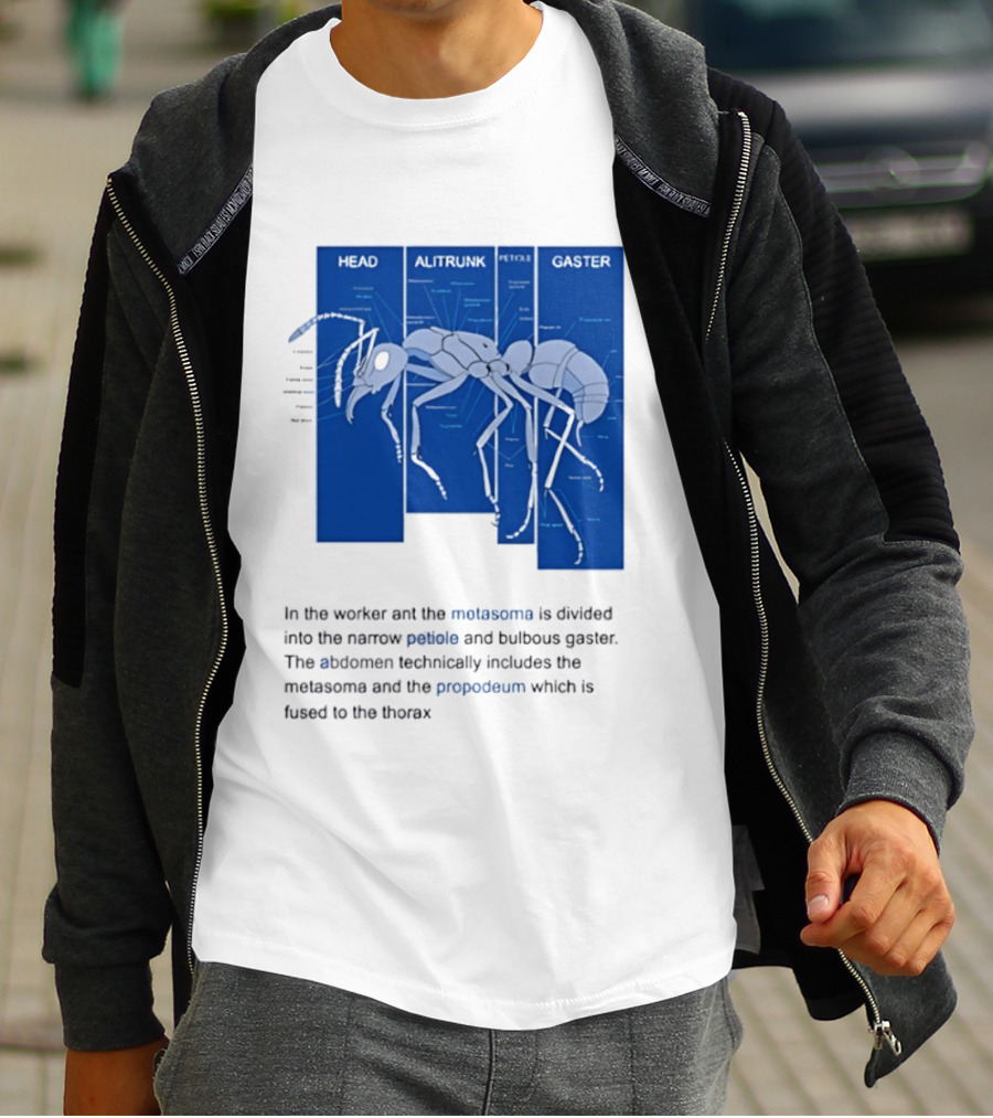 Worker Ant Diagram Head Alitrunk Gaster Metasoma Petiole Biology T-Shirt