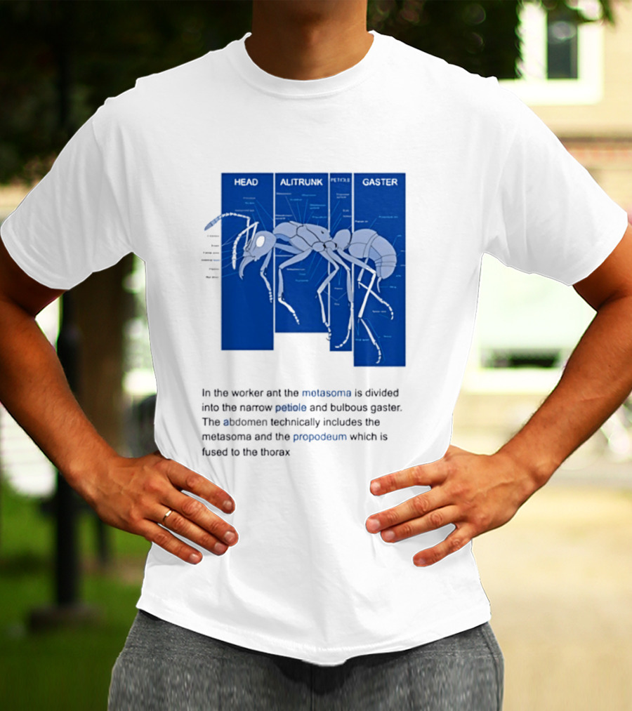 Worker Ant Diagram Head Alitrunk Gaster Metasoma Petiole Biology T-Shirt