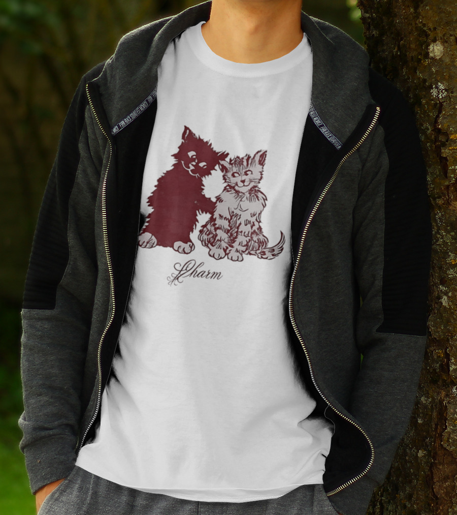 Charm Kittens Cats Hugging T-Shirt