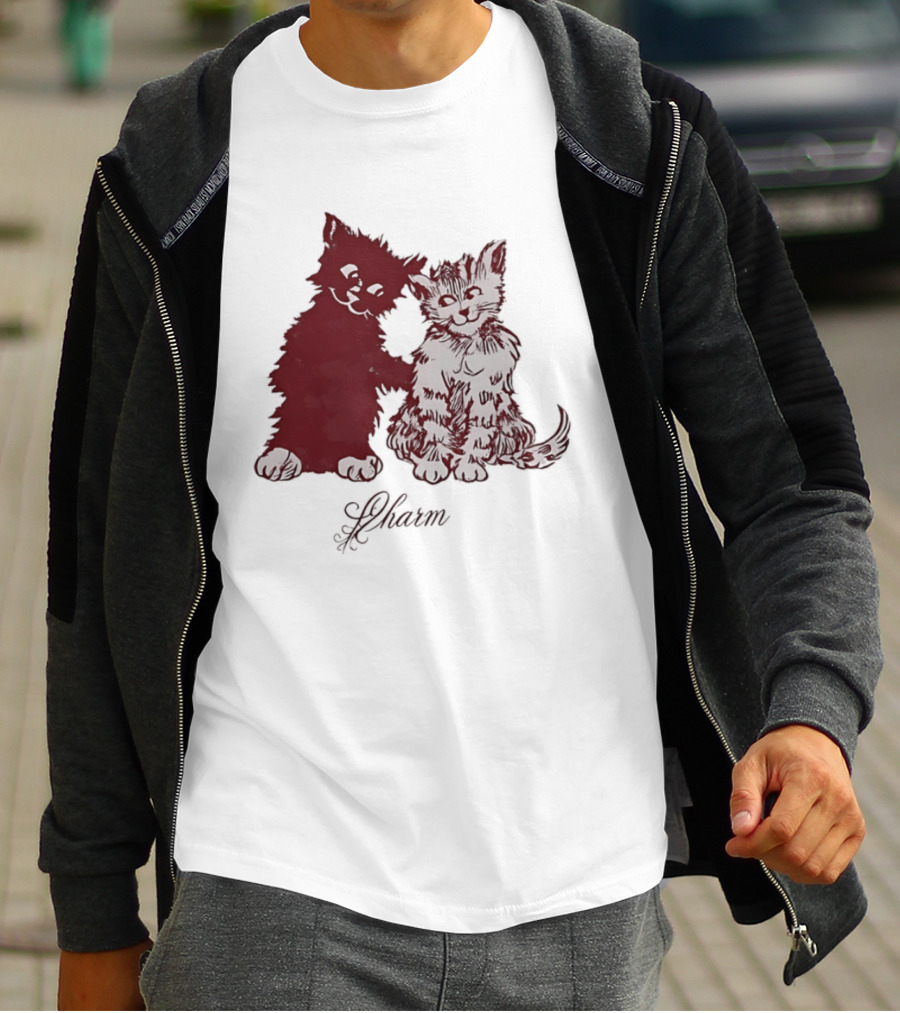 Charm Kittens Cats Hugging T-Shirt
