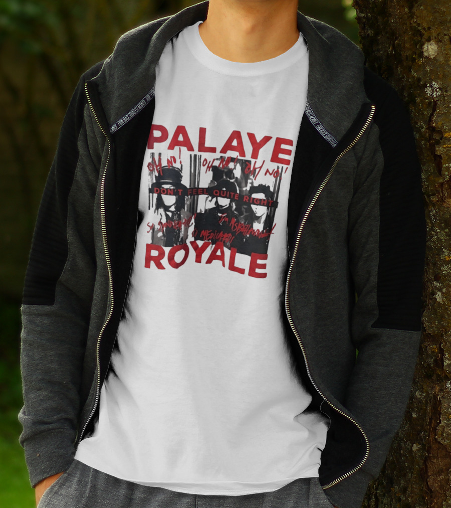 Palaye Royale Don't Feel Quite Right Oh No So Unsatisfied Misunderstood Mediocre T-Shirt