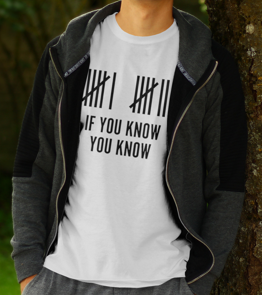 Classic Six Seven Tally Marks If You Know You Know T-Shirt